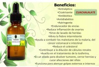 EXTRACTO DE CUACHALALATE